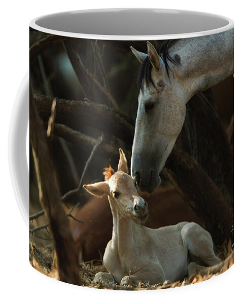Cute Foal Coffee Mug featuring the photograph Mother's Love by Shannon Hastings