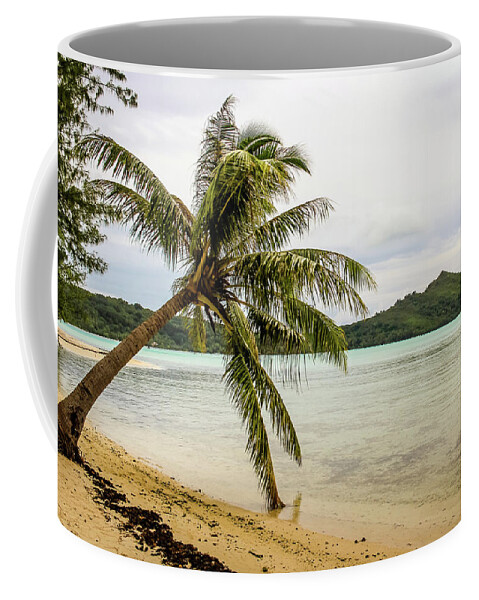 Palm Coffee Mug featuring the photograph Motu Palm by Craig A Walker
