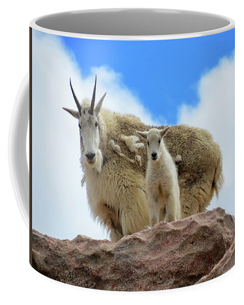 Mountain Goat Coffee Mug featuring the photograph Mountain Goats by Connor Beekman
