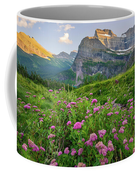 Flowers Coffee Mug featuring the photograph Mountain meadow by Robert Miller