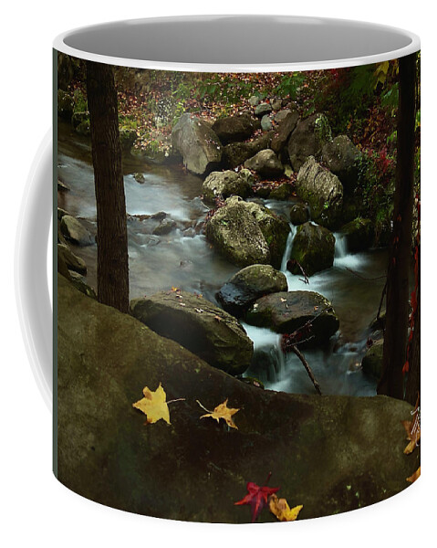 Blue Ridge Parkway Coffee Mug featuring the photograph Mountain Stream Fall by Meta Gatschenberger