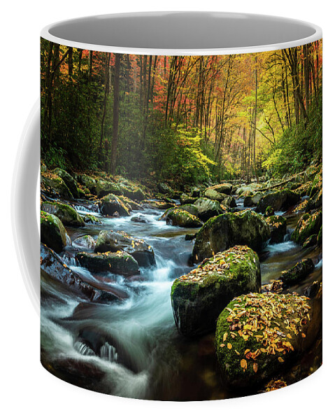 Big Creek Coffee Mug featuring the photograph Mountain Streams by Darrell DeRosia