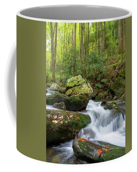 Tennessee Coffee Mug featuring the photograph Mountain Water by Larry Bohlin