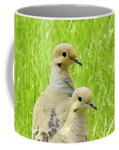 Mourning Doves. Cariboo Birds. Coffee Mug featuring the photograph Mourning Doves by Nicola Finch
