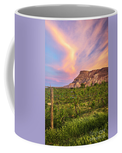 Mt Garfield Coffee Mug featuring the photograph Mt Garfield and the Palisade Vineyards by Ronda Kimbrow