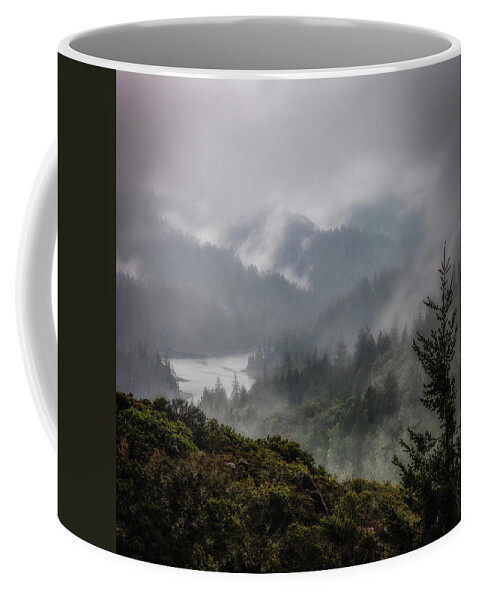 Mt. Tamalpais Coffee Mug featuring the photograph Mt. Tamalpais watershed by Donald Kinney