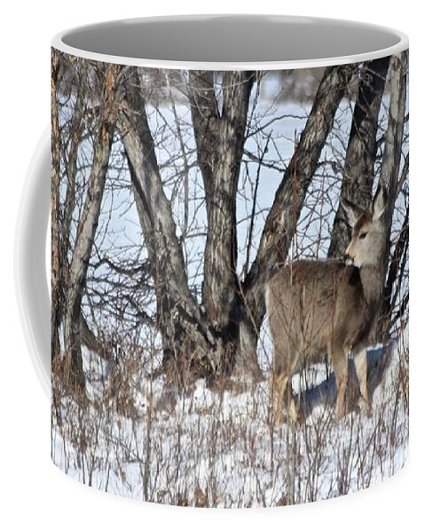 Mule Deer Coffee Mug featuring the photograph Mule Deer by Ann E Robson