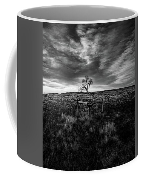  Coffee Mug featuring the photograph Murray Tree Monochrome by Darcy Dietrich