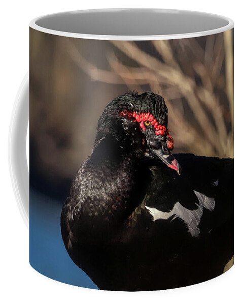 Duck Coffee Mug featuring the photograph Muscovy Duck Stare by Ron Grafe
