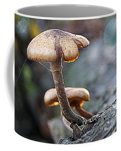 Nature Coffee Mug featuring the photograph Mushroom by Jolly Van der Velden