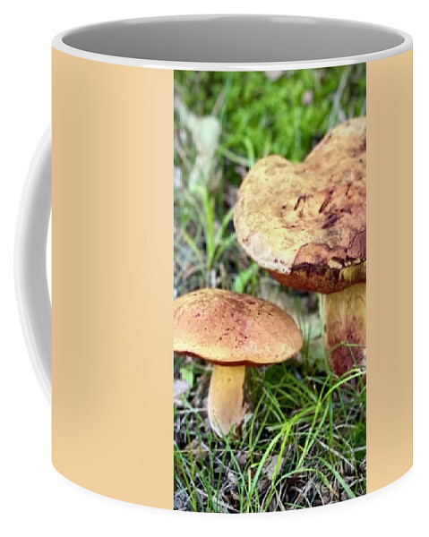 Mushrooms Coffee Mug featuring the photograph Mushrooms by Deena Withycombe