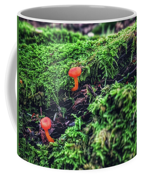 Moss Coffee Mug featuring the photograph Mushrooms in Moss by Evan Foster