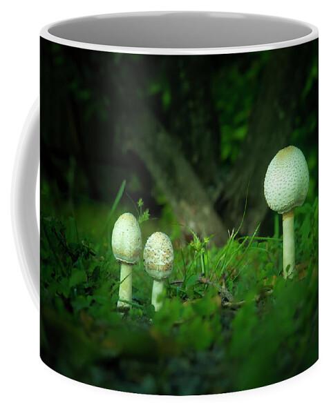 Mushrooms Coffee Mug featuring the photograph Mushrooms in the Garden by Mark Andrew Thomas