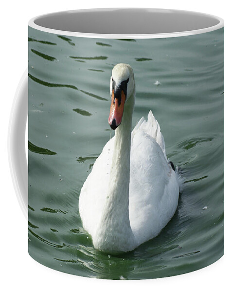  Coffee Mug featuring the photograph Mute Swan by Heather E Harman