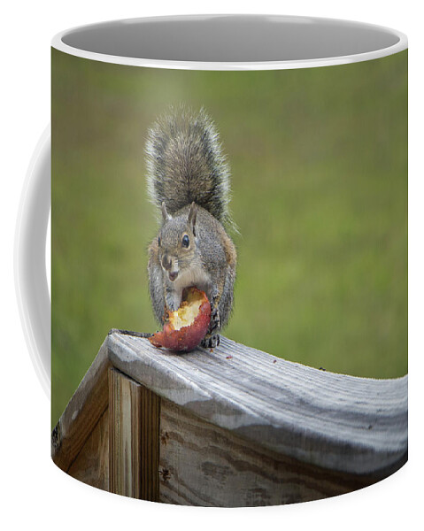 Squirrel Coffee Mug featuring the photograph My Apple by M Kathleen Warren
