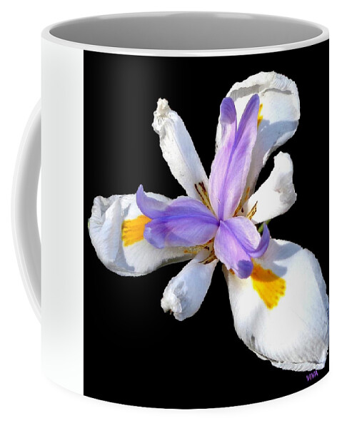 Clementine Coffee Mug featuring the photograph My Darling Clementine by VIVA Anderson