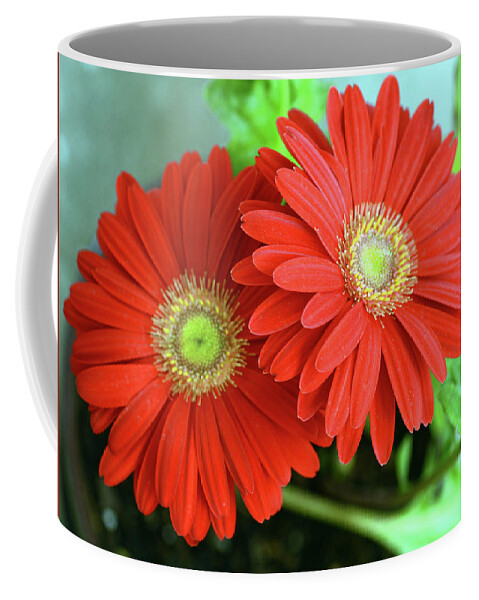 Red Coffee Mug featuring the photograph My Heart Bleds Red for You by Wanda Brandon
