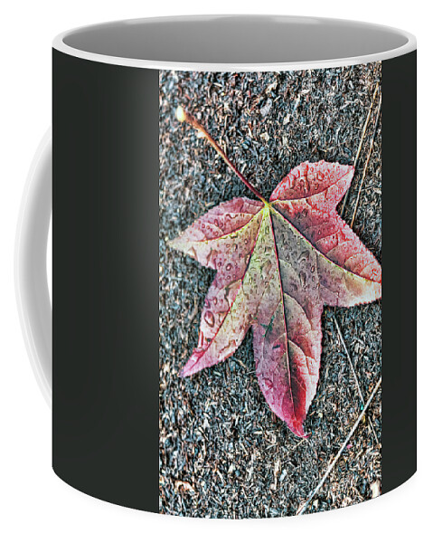 Leaf Coffee Mug featuring the photograph My Wet Underside by Elaine Teague