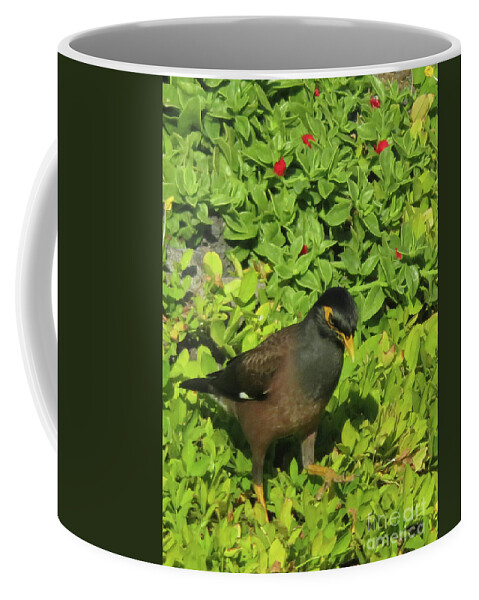 Myna Coffee Mug featuring the photograph Mynah Bird by Cindy Murphy