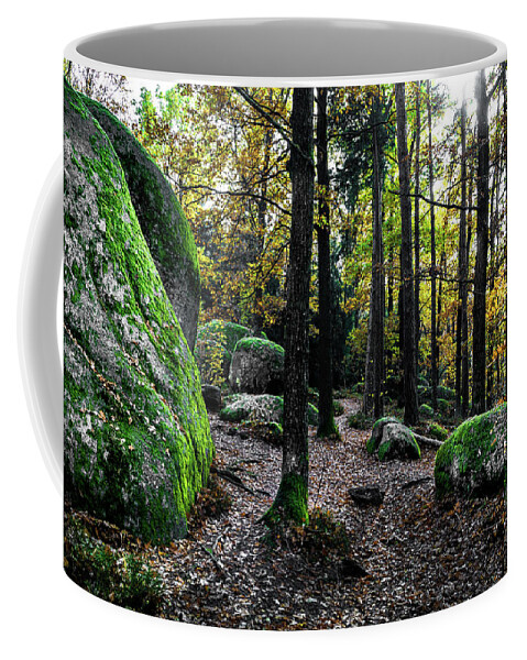 Abandoned Coffee Mug featuring the photograph Mystic Landscape Of Nature Park Blockheide With Granite Rock Formations In Waldviertel In Austria by Andreas Berthold
