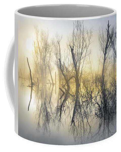 Abstract Coffee Mug featuring the photograph Mystical Lake by Jordan Hill