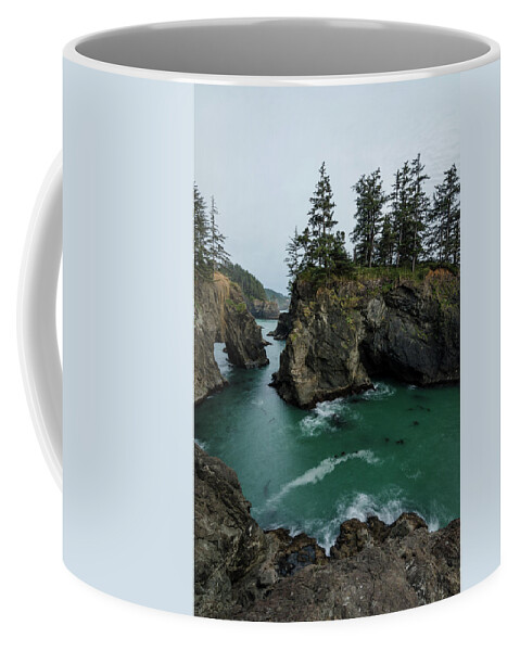 Oregon Coffee Mug featuring the photograph Mystical Muse No.2 by Margaret Pitcher