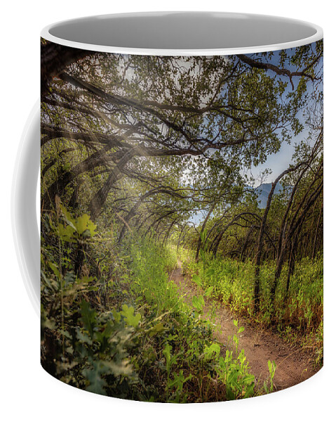 Woods Coffee Mug featuring the photograph Mystical Worshipping Woods by Bradley Morris