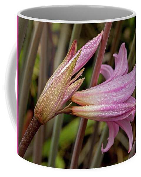 Coffee Mug featuring the photograph Naked Lady #1 by Carla Brennan