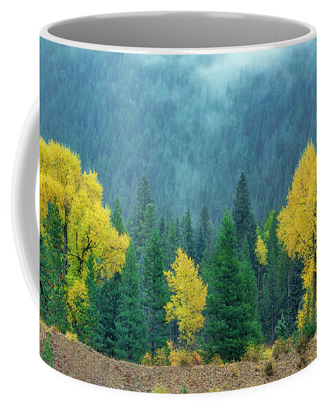 Dave Welling Coffee Mug featuring the photograph Narrowleaf Cottonwoods And Blur Spruce Trees In Grand Tetons by Dave Welling
