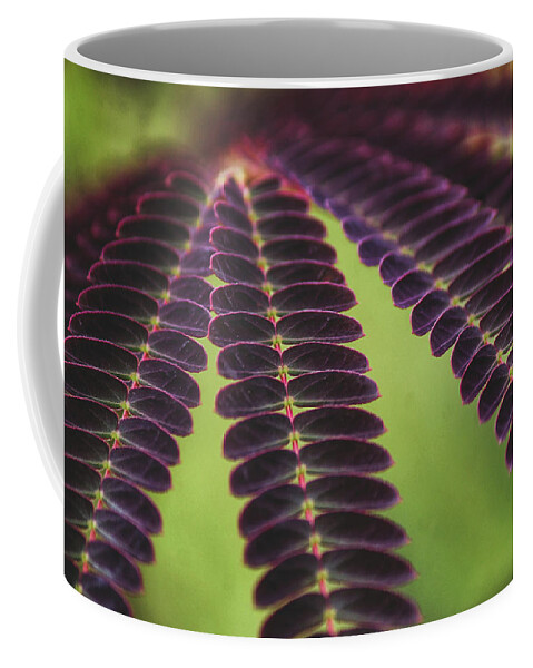 Mountain Coffee Mug featuring the photograph Natural Patterns by Go and Flow Photos