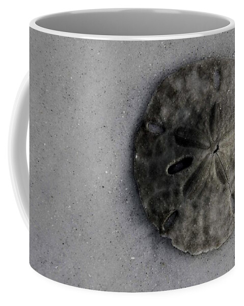 Beach Coffee Mug featuring the photograph Natural Sand Dollar on Florida Beach by Valerie Collins