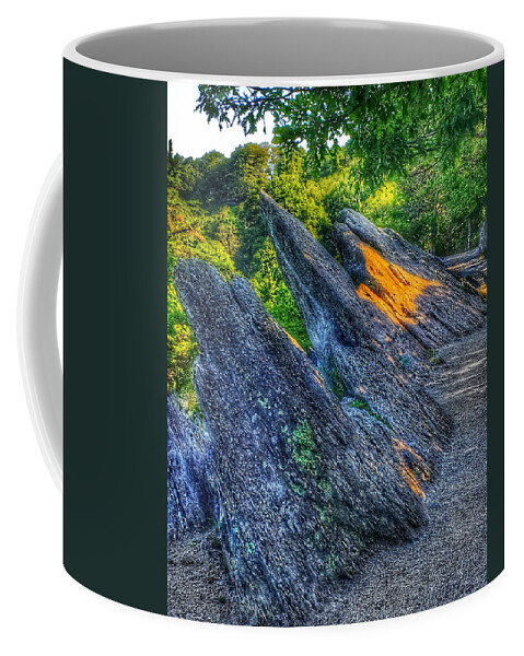 Photo Coffee Mug featuring the photograph Nature at Blowing Rock by Anthony M Davis