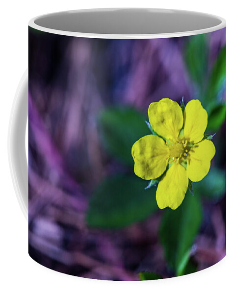 Landscapes Coffee Mug featuring the photograph Nature Photography - Floral 3 by Amelia Pearn