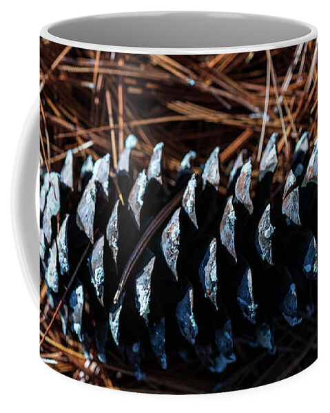 Nature Coffee Mug featuring the photograph Nature Photography - Pine Cone 2 by Amelia Pearn