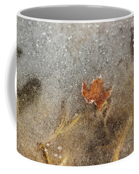 Landscapes Coffee Mug featuring the photograph Nature Photography - Pond Ice by Amelia Pearn