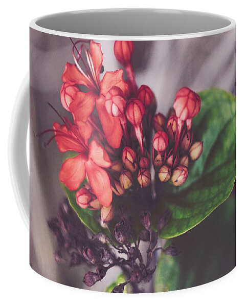Nature Art Coffee Mug featuring the photograph Nature Pic 1 by Gian Smith