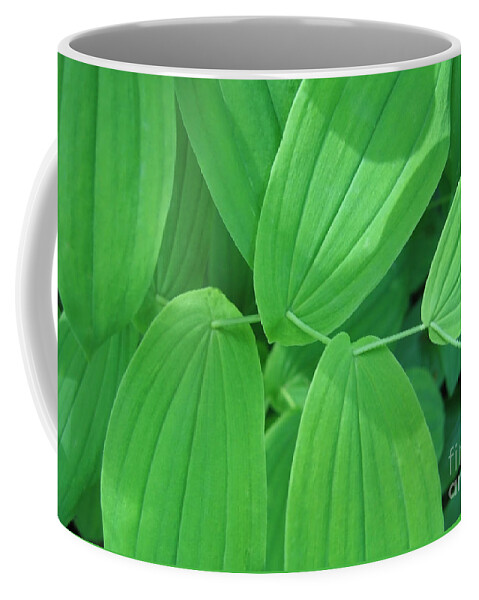Leaf Coffee Mug featuring the photograph Natures Sewing Thread by Ann Horn
