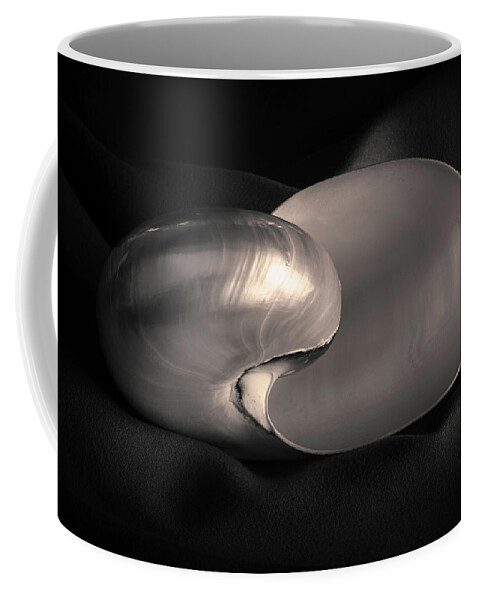 Black Coffee Mug featuring the photograph Nautilus Shell I Toned by David Gordon