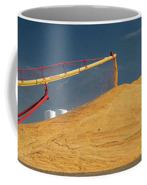 Corn Coffee Mug featuring the photograph Nebraska Corn Harvest by Jim West