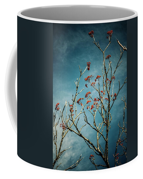 Fine Art Coffee Mug featuring the photograph Nebula #9 by Tony Locke