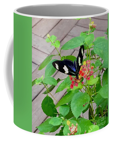 Butterfly Coffee Mug featuring the photograph Nectar by Kate Conaboy