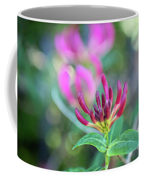 Honeysickle Coffee Mug featuring the photograph New Beginnings by Amy Dundon