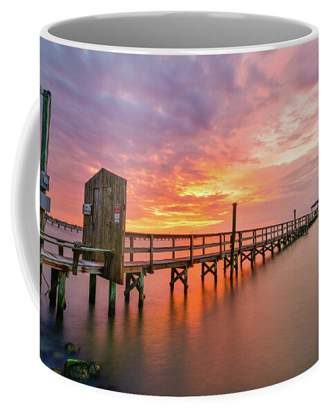 Aransas Coffee Mug featuring the photograph New Beginnings by Christopher Rice