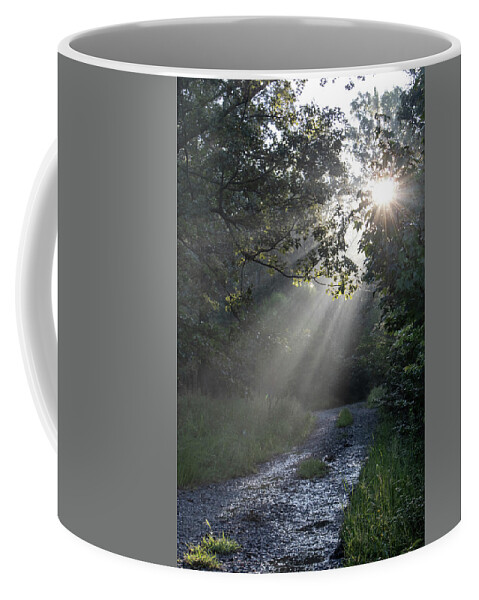 Trees Coffee Mug featuring the photograph New Beginnings by Elaine Malott