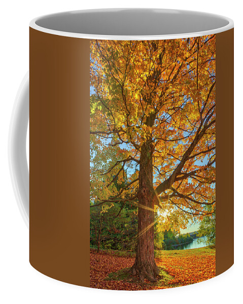 New England Fall Foliage Coffee Mug featuring the photograph New England Fall Foliage Peak Colors by Juergen Roth
