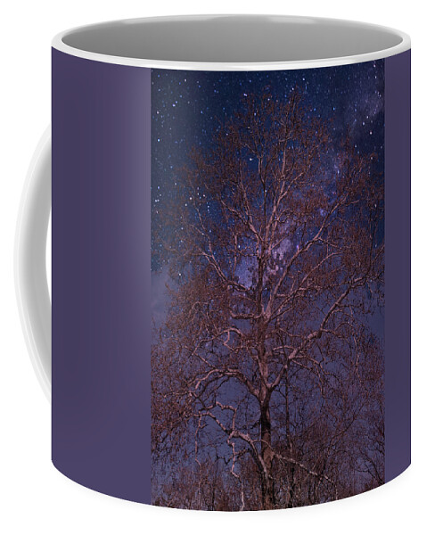 Tree Coffee Mug featuring the photograph Night Sky Tree by Russ Considine