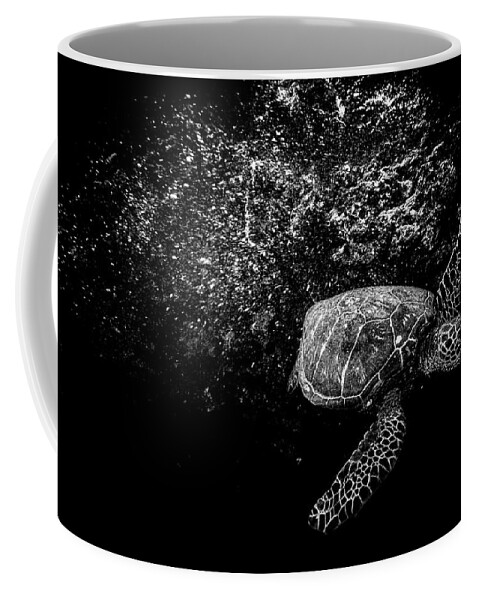 Night Turtle Coffee Mug featuring the photograph Night Turtle by Leonardo Dale