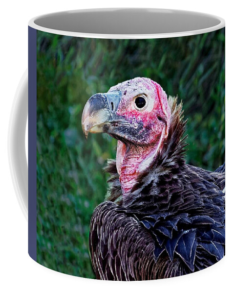 Kj Swan Birds Coffee Mug featuring the photograph Nightmare - Nubian Vulture by KJ Swan
