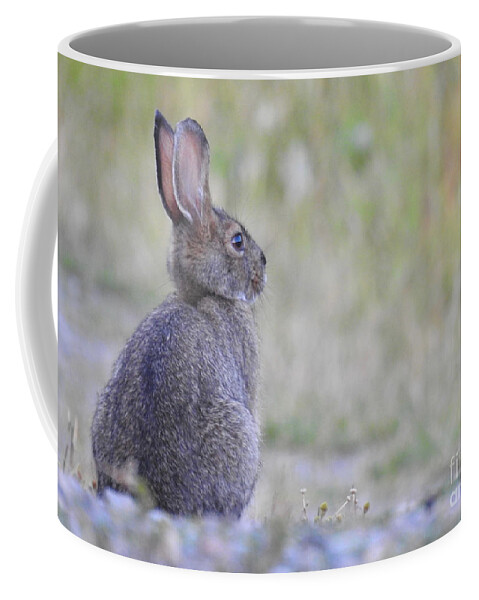 Rabbit Coffee Mug featuring the photograph Nipped by frost by Nicola Finch