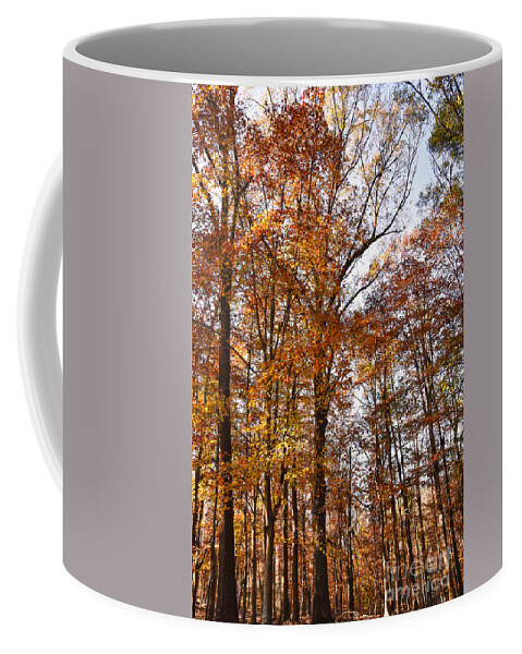 North Georgia Coffee Mug featuring the photograph North Georgia Fall Colors 3 by Andrea Anderegg
